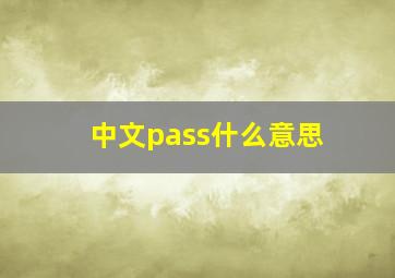 中文pass什么意思