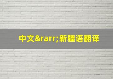 中文→新疆语翻译