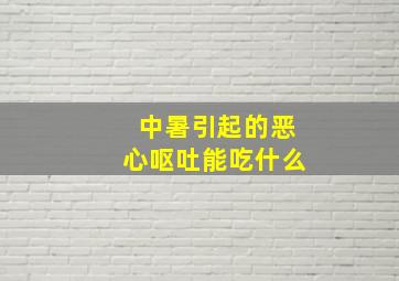 中暑引起的恶心呕吐能吃什么