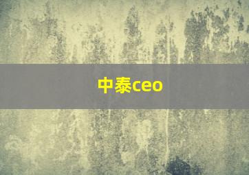 中泰ceo