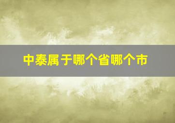 中泰属于哪个省哪个市