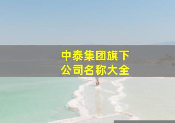 中泰集团旗下公司名称大全