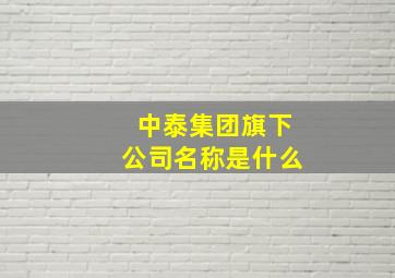 中泰集团旗下公司名称是什么