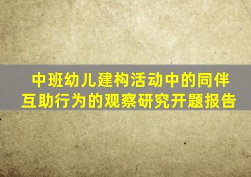 中班幼儿建构活动中的同伴互助行为的观察研究开题报告