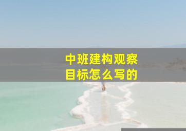 中班建构观察目标怎么写的