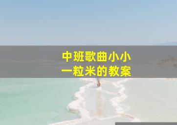 中班歌曲小小一粒米的教案