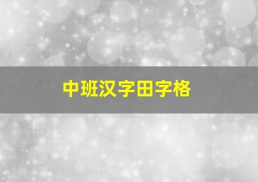 中班汉字田字格