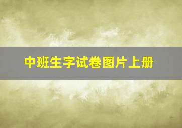 中班生字试卷图片上册