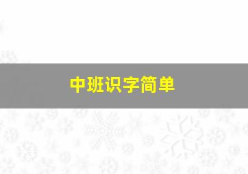 中班识字简单