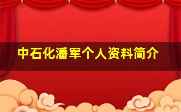 中石化潘军个人资料简介