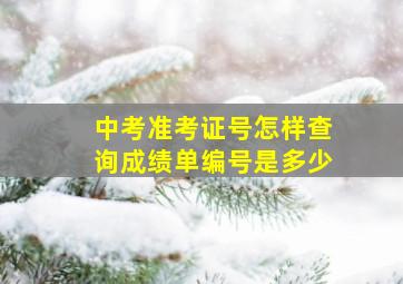 中考准考证号怎样查询成绩单编号是多少