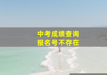 中考成绩查询报名号不存在