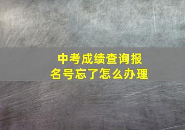 中考成绩查询报名号忘了怎么办理