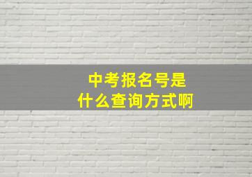 中考报名号是什么查询方式啊