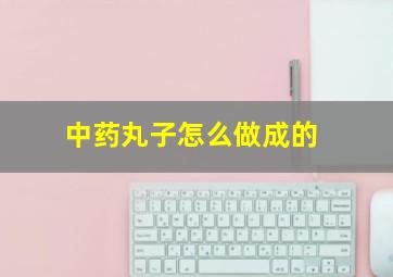 中药丸子怎么做成的