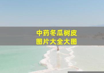 中药冬瓜树皮图片大全大图