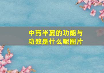 中药半夏的功能与功效是什么呢图片