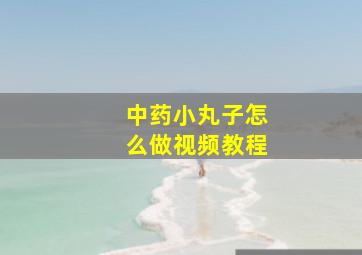 中药小丸子怎么做视频教程