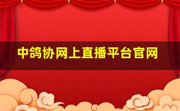 中鸽协网上直播平台官网