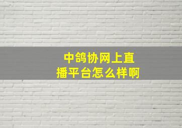 中鸽协网上直播平台怎么样啊