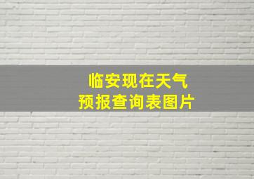 临安现在天气预报查询表图片