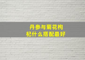 丹参与菊花枸杞什么搭配最好