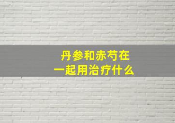 丹参和赤芍在一起用治疗什么