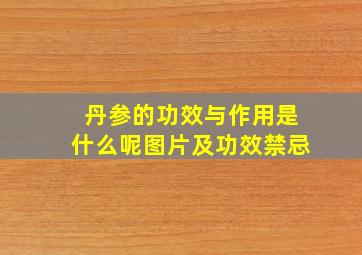 丹参的功效与作用是什么呢图片及功效禁忌