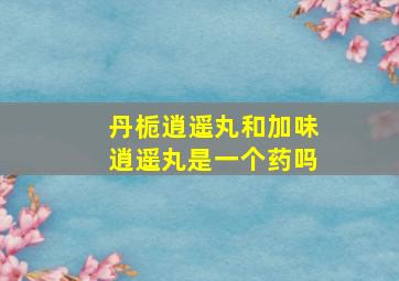 丹栀逍遥丸和加味逍遥丸是一个药吗