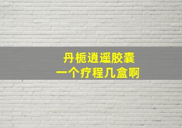 丹栀逍遥胶囊一个疗程几盒啊