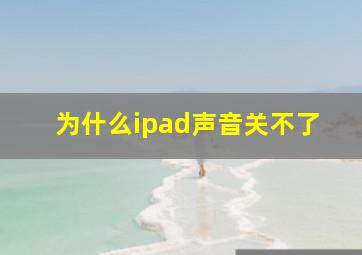 为什么ipad声音关不了