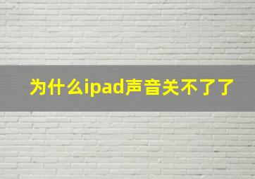 为什么ipad声音关不了了