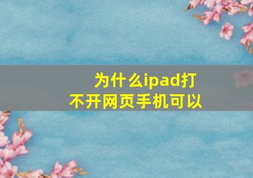 为什么ipad打不开网页手机可以