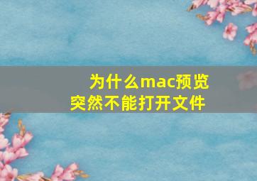 为什么mac预览突然不能打开文件