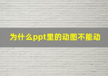 为什么ppt里的动图不能动