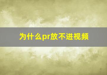 为什么pr放不进视频