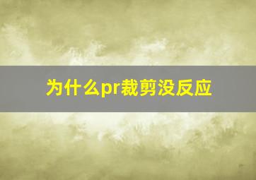 为什么pr裁剪没反应