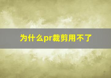 为什么pr裁剪用不了