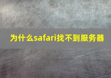 为什么safari找不到服务器