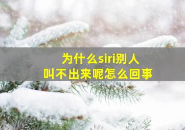 为什么siri别人叫不出来呢怎么回事