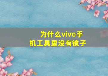 为什么vivo手机工具里没有镜子