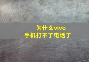 为什么vivo手机打不了电话了