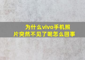 为什么vivo手机照片突然不见了呢怎么回事