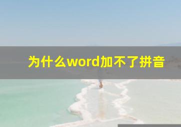 为什么word加不了拼音