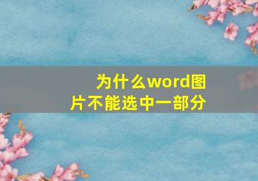 为什么word图片不能选中一部分