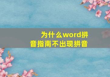 为什么word拼音指南不出现拼音