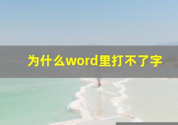 为什么word里打不了字