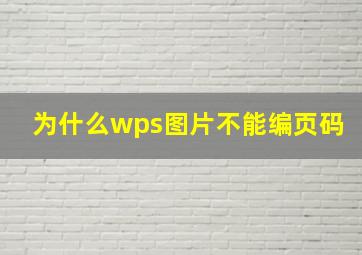 为什么wps图片不能编页码