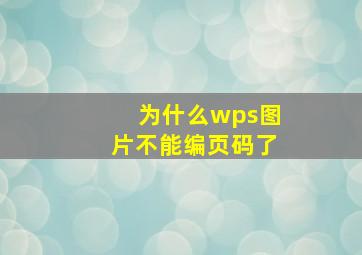 为什么wps图片不能编页码了