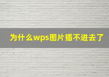 为什么wps图片插不进去了